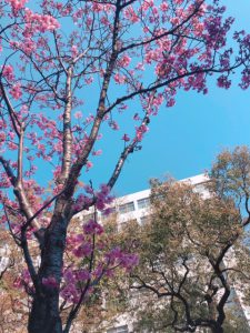 春を感じる瞬間